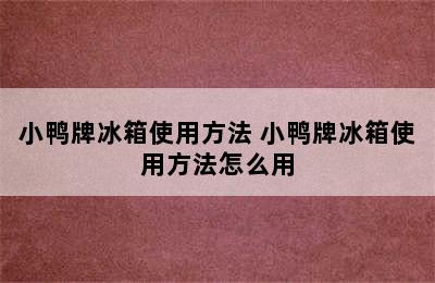 小鸭牌冰箱使用方法 小鸭牌冰箱使用方法怎么用